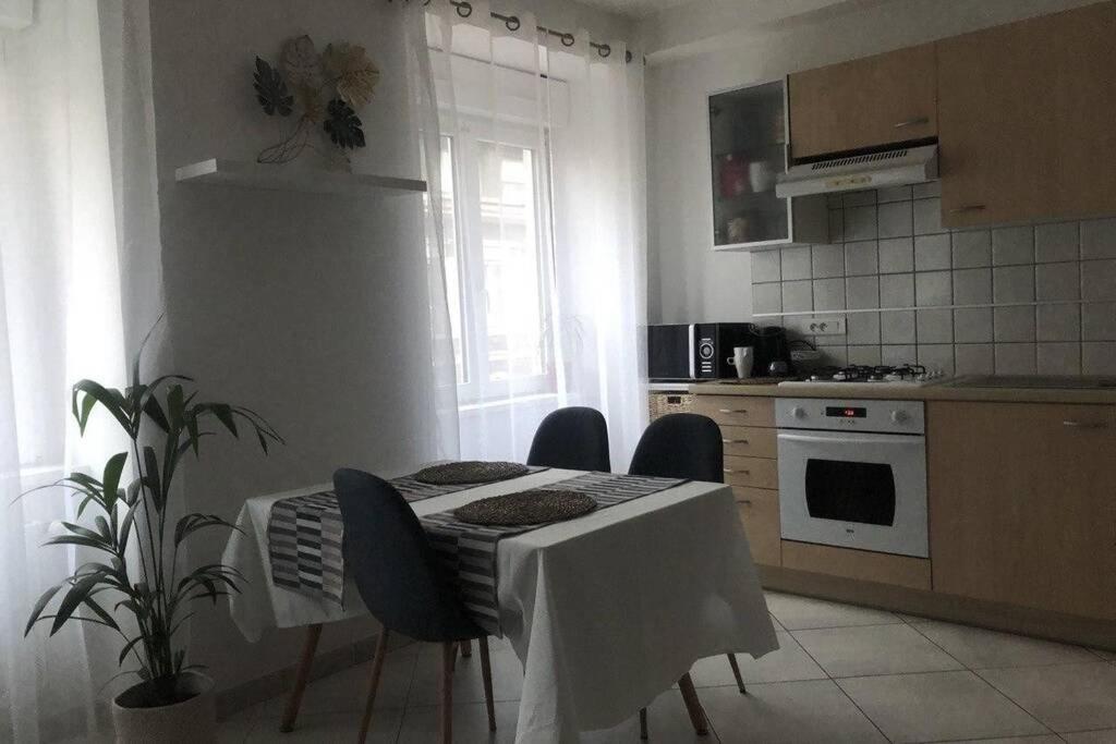 Cosy Appartement Complet Centre-Ville Montbéliard Eksteriør billede