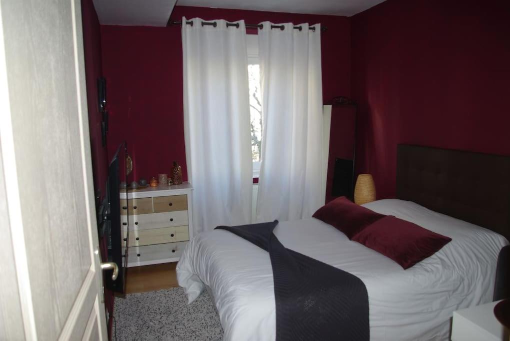 Cosy Appartement Complet Centre-Ville Montbéliard Eksteriør billede