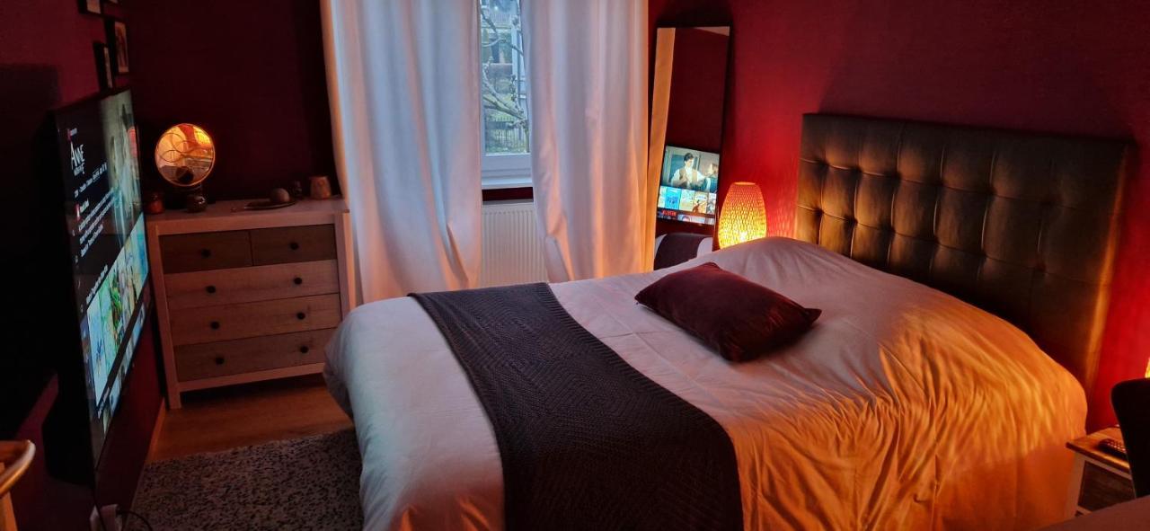 Cosy Appartement Complet Centre-Ville Montbéliard Eksteriør billede