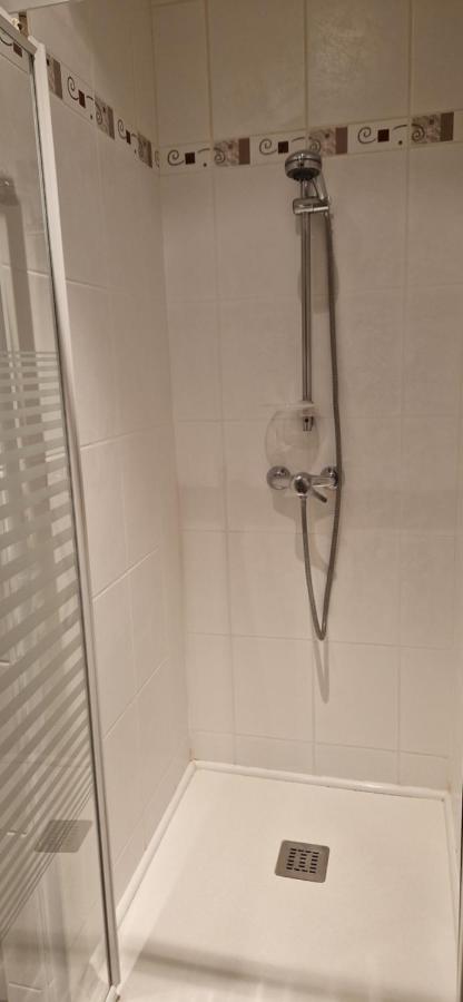 Cosy Appartement Complet Centre-Ville Montbéliard Eksteriør billede