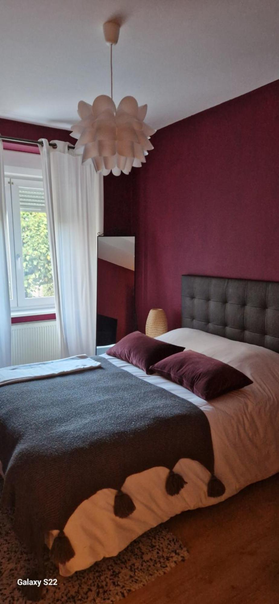 Cosy Appartement Complet Centre-Ville Montbéliard Eksteriør billede