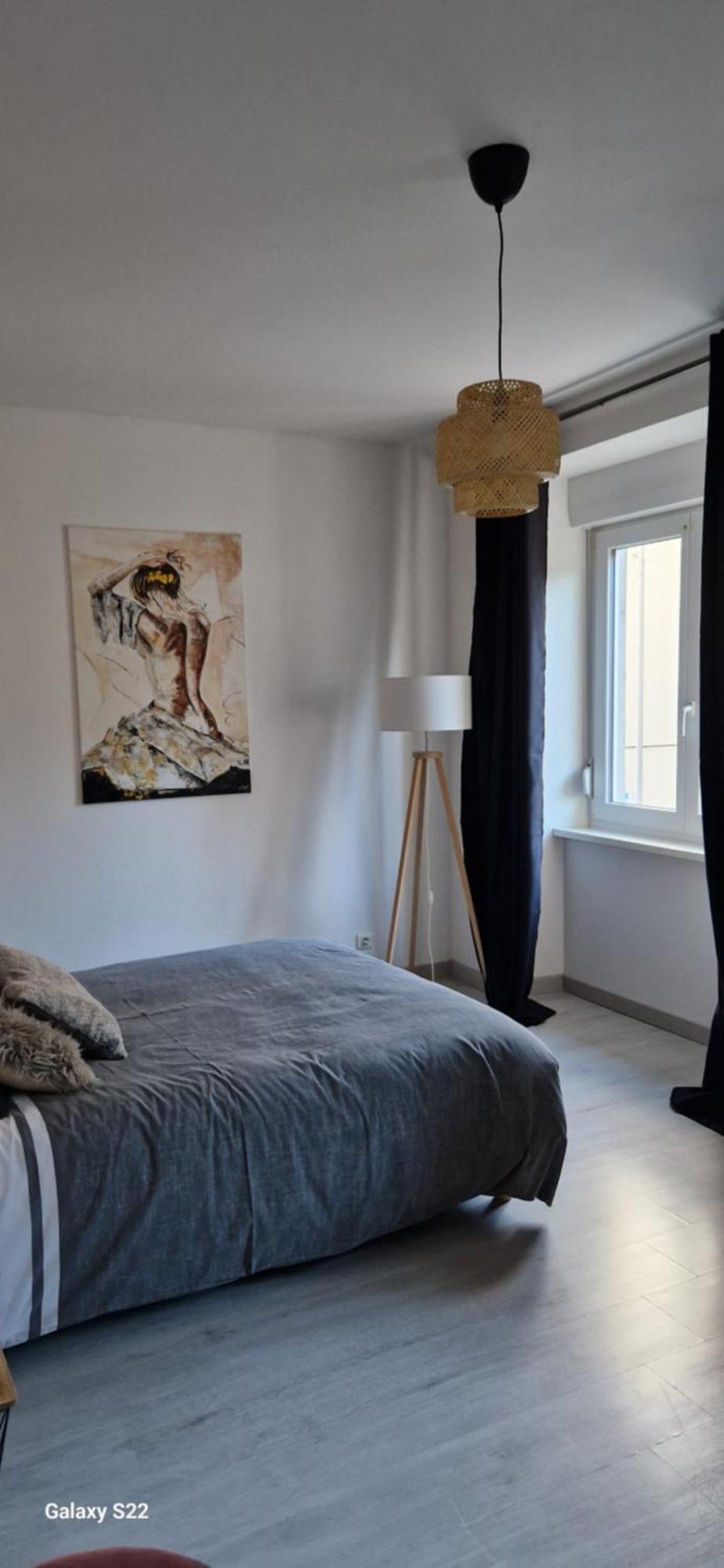 Cosy Appartement Complet Centre-Ville Montbéliard Eksteriør billede